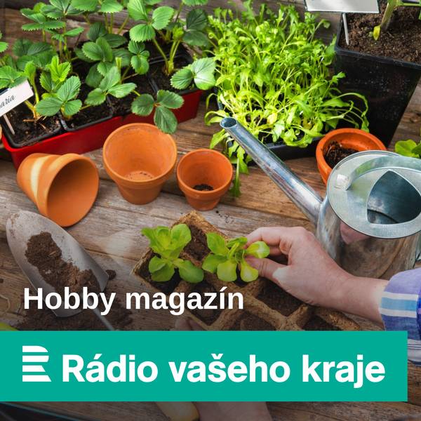 Hobby magazín